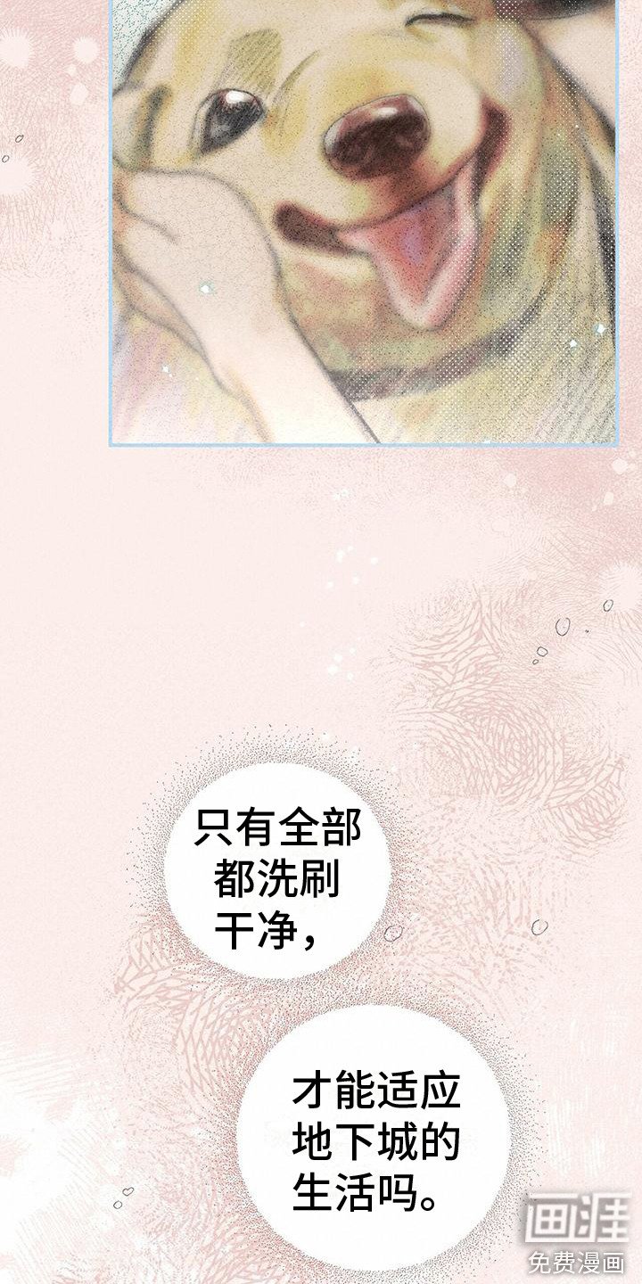 第19章：骚动