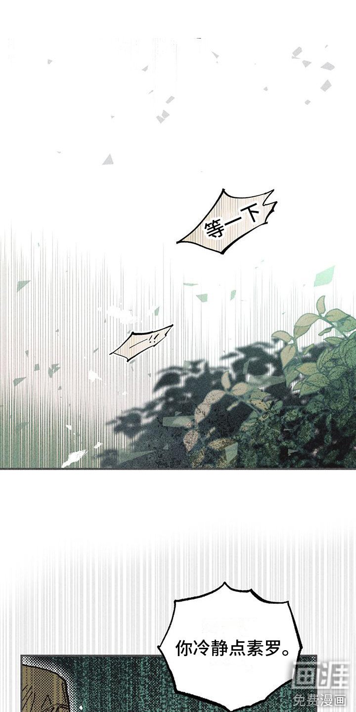 第19章：骚动