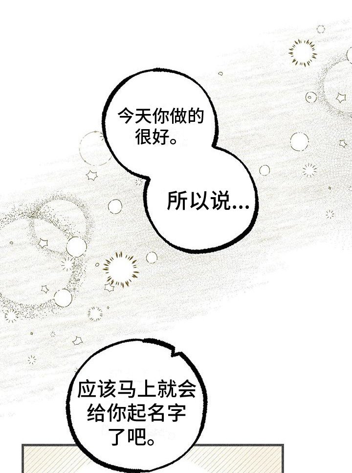 第29章：声音 