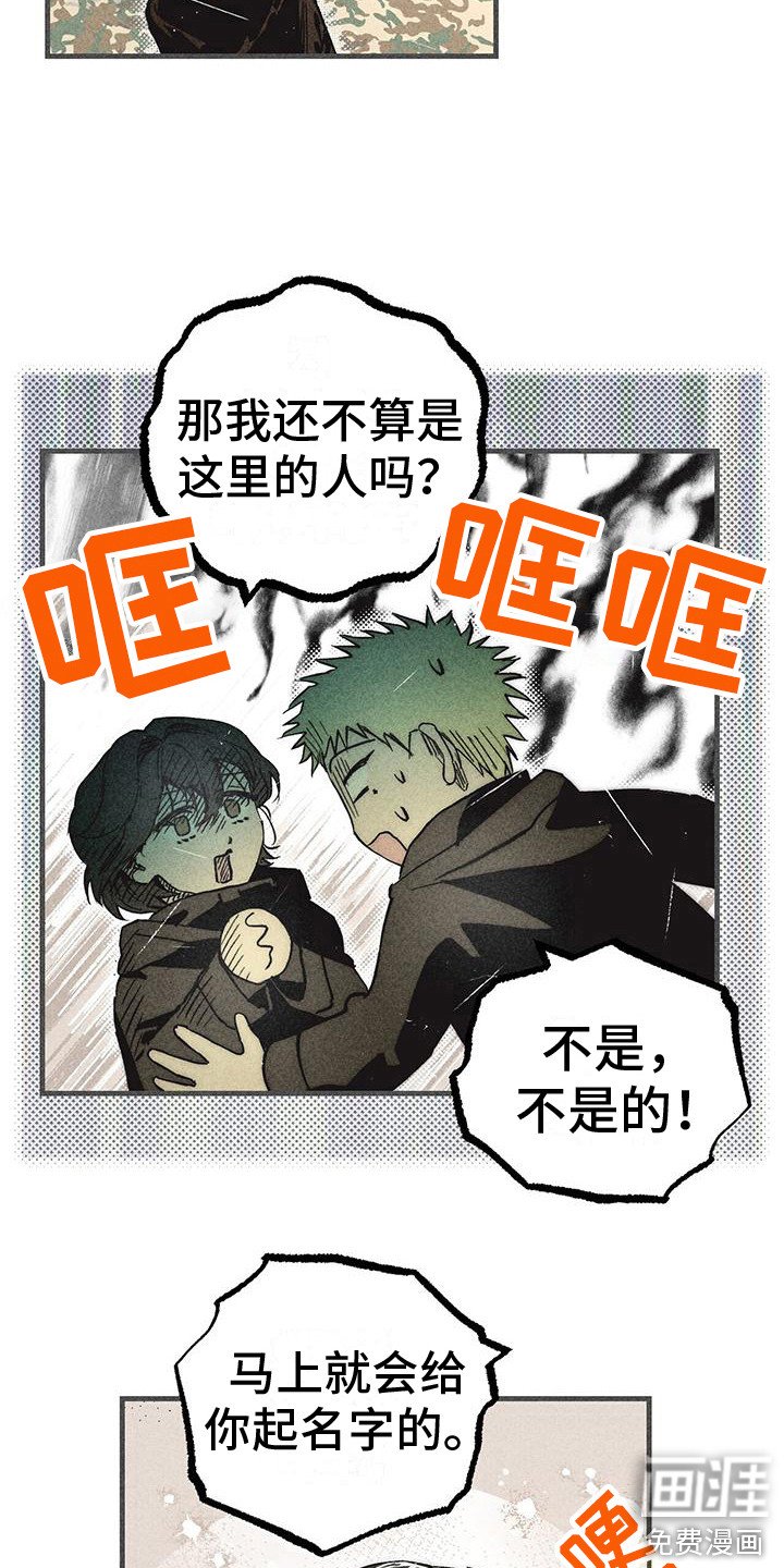 第29章：声音 