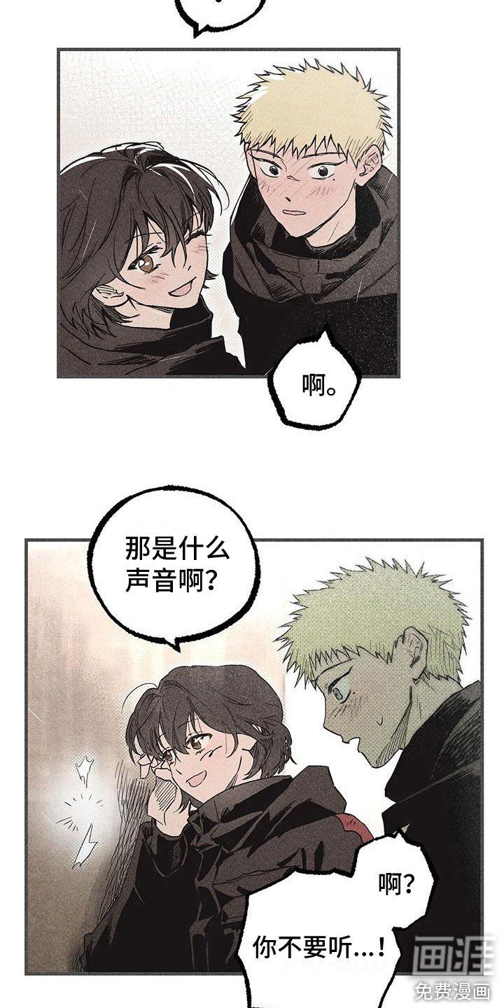 第29章：声音 