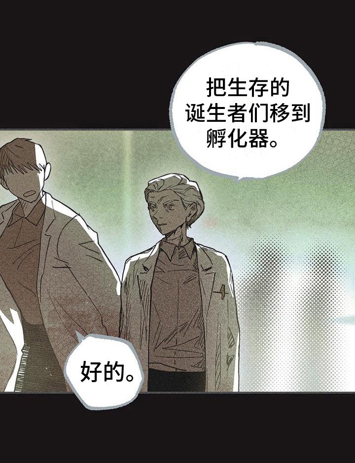 第29章：声音 