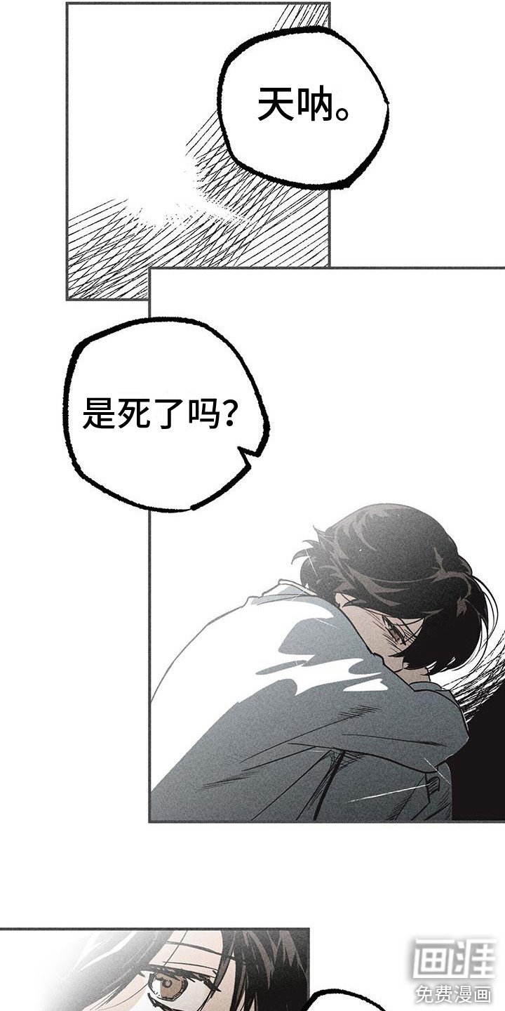 第4章：屏幕