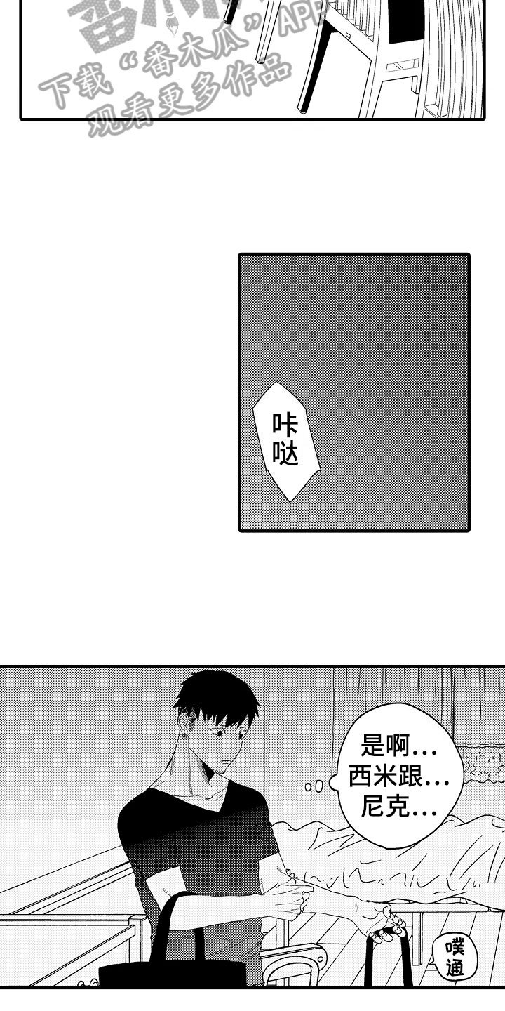 第21章：空洞