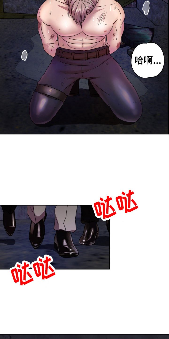第11章：绝密逃生：另一只老鼠