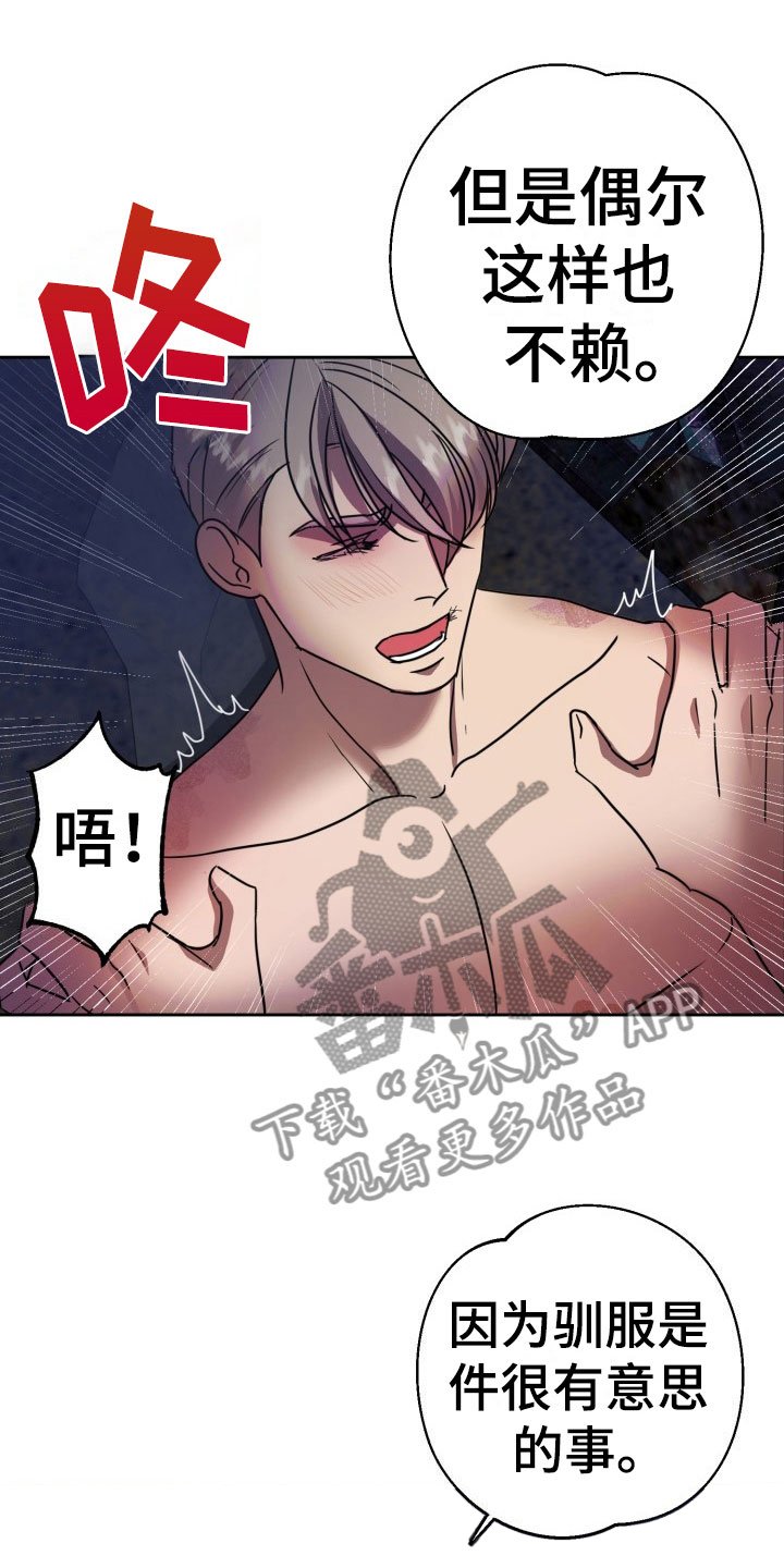 第11章：绝密逃生：另一只老鼠