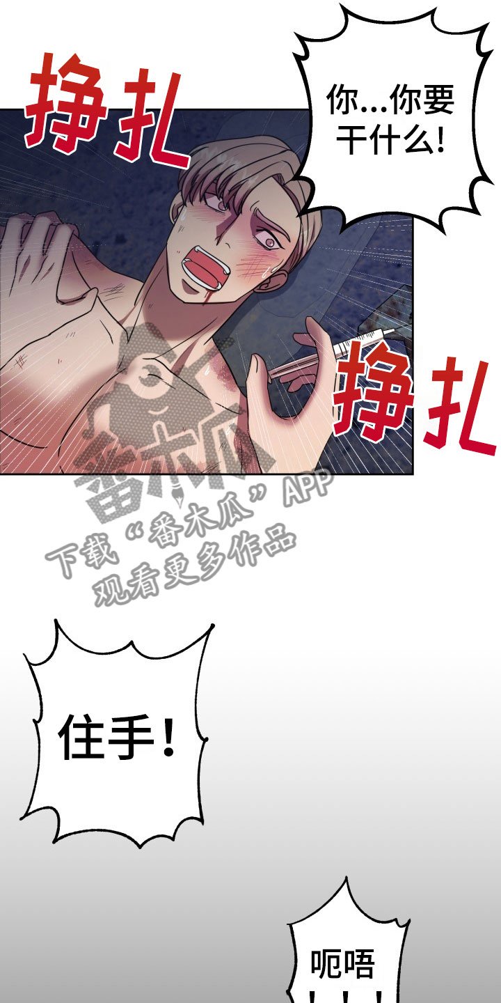 第11章：绝密逃生：另一只老鼠