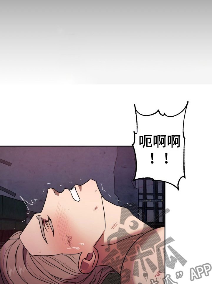 第11章：绝密逃生：另一只老鼠