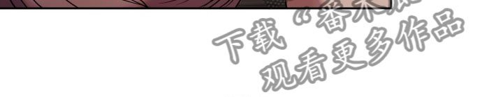 第11章：绝密逃生：另一只老鼠
