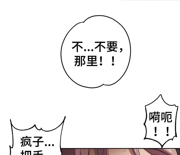 第11章：绝密逃生：另一只老鼠