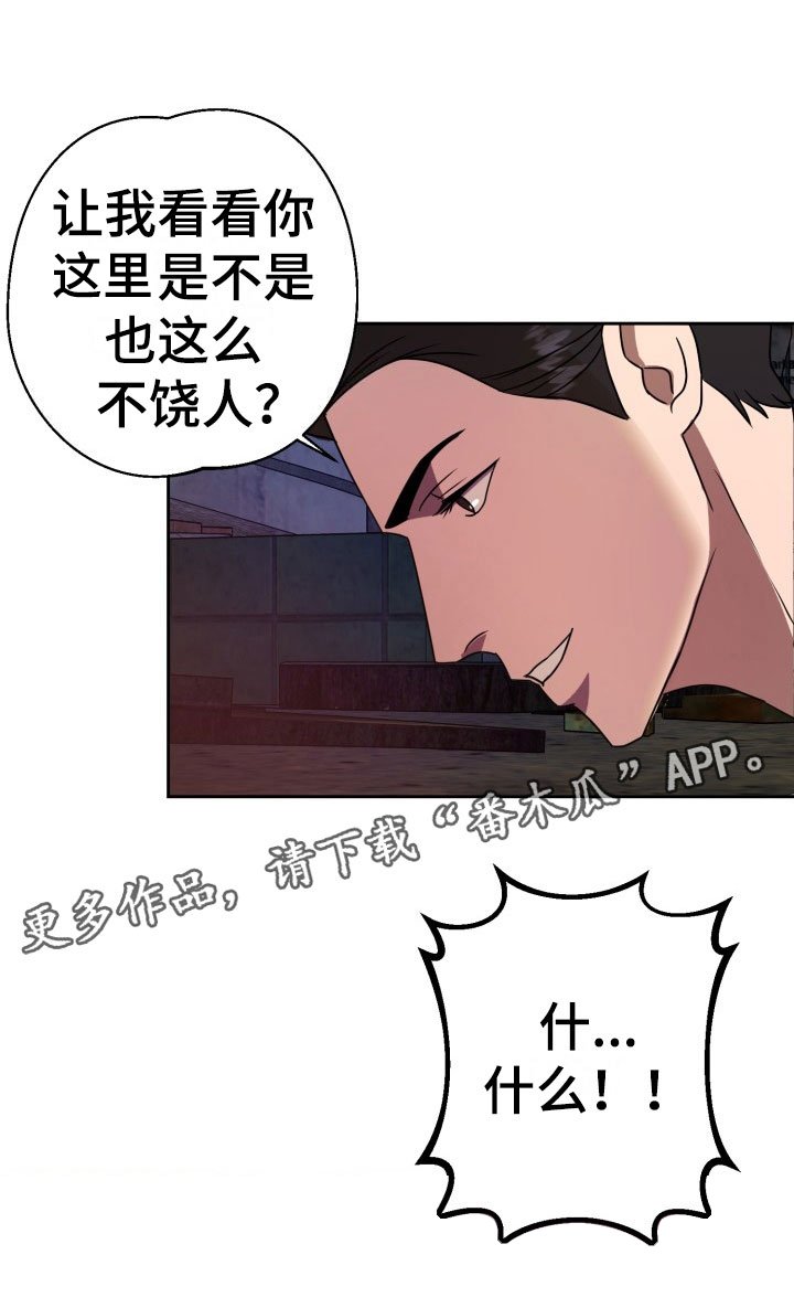 第11章：绝密逃生：另一只老鼠