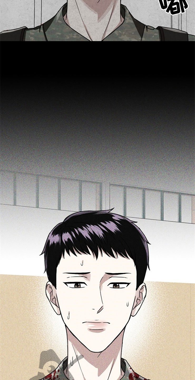 第20章：在下雨天：抗体