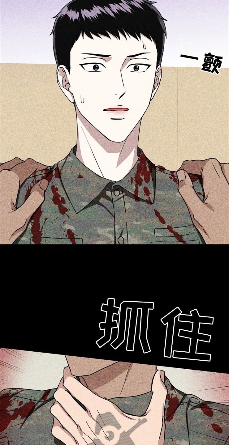 第20章：在下雨天：抗体