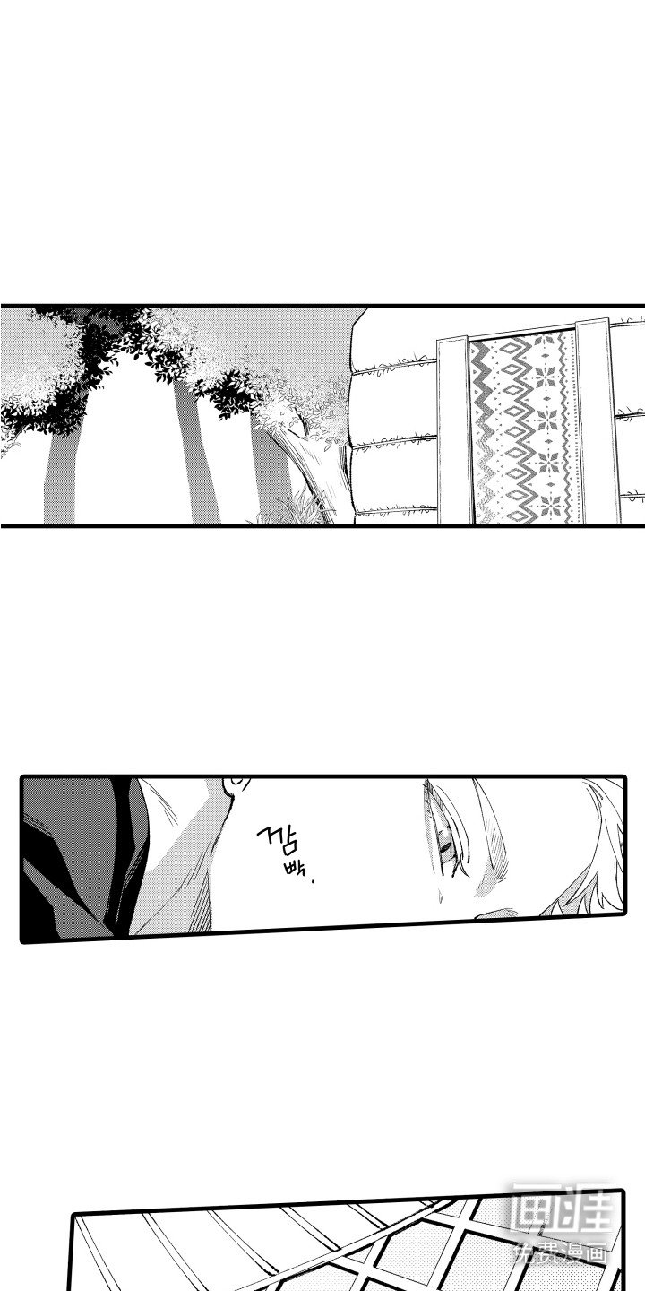 第5章：照片