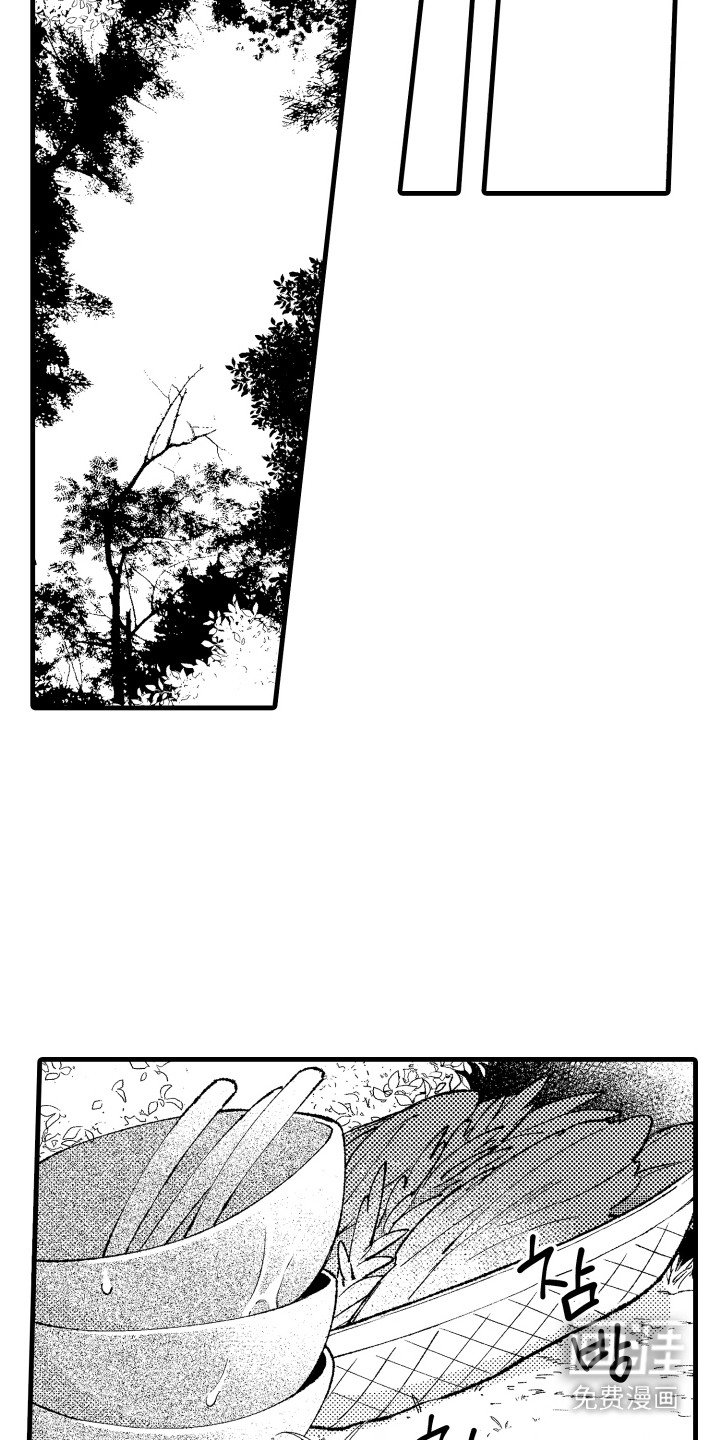 第5章：照片