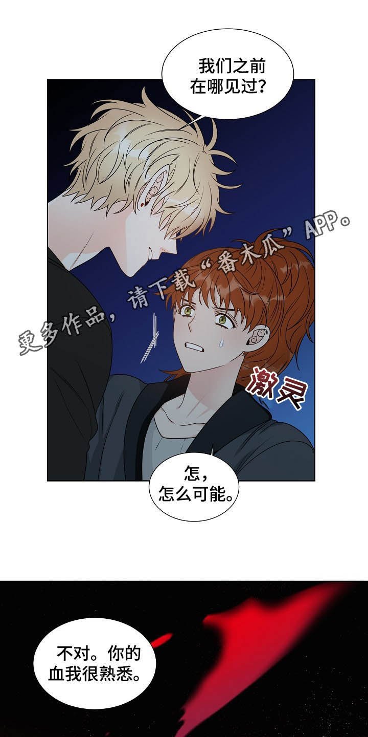 第15章：言语伤害