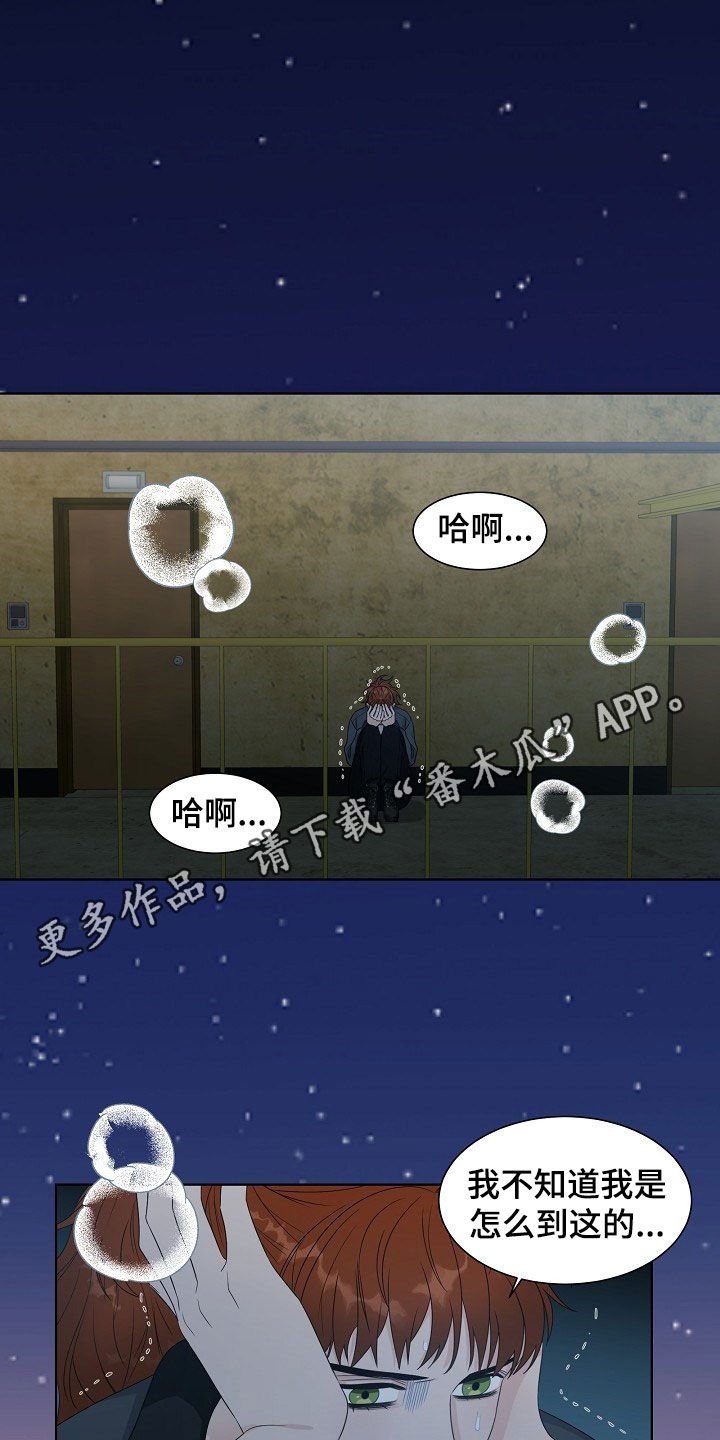 第16章：捕食