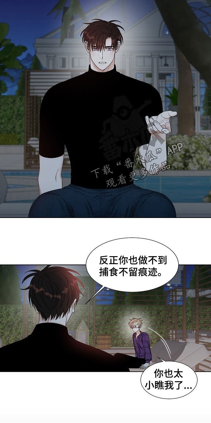 第16章：捕食
