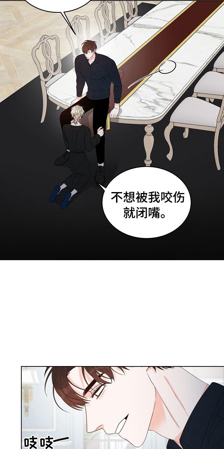 第2章：你是我的