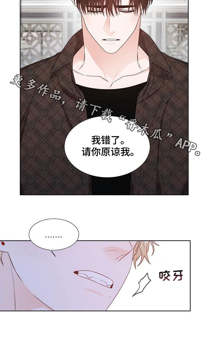 第20章：道歉