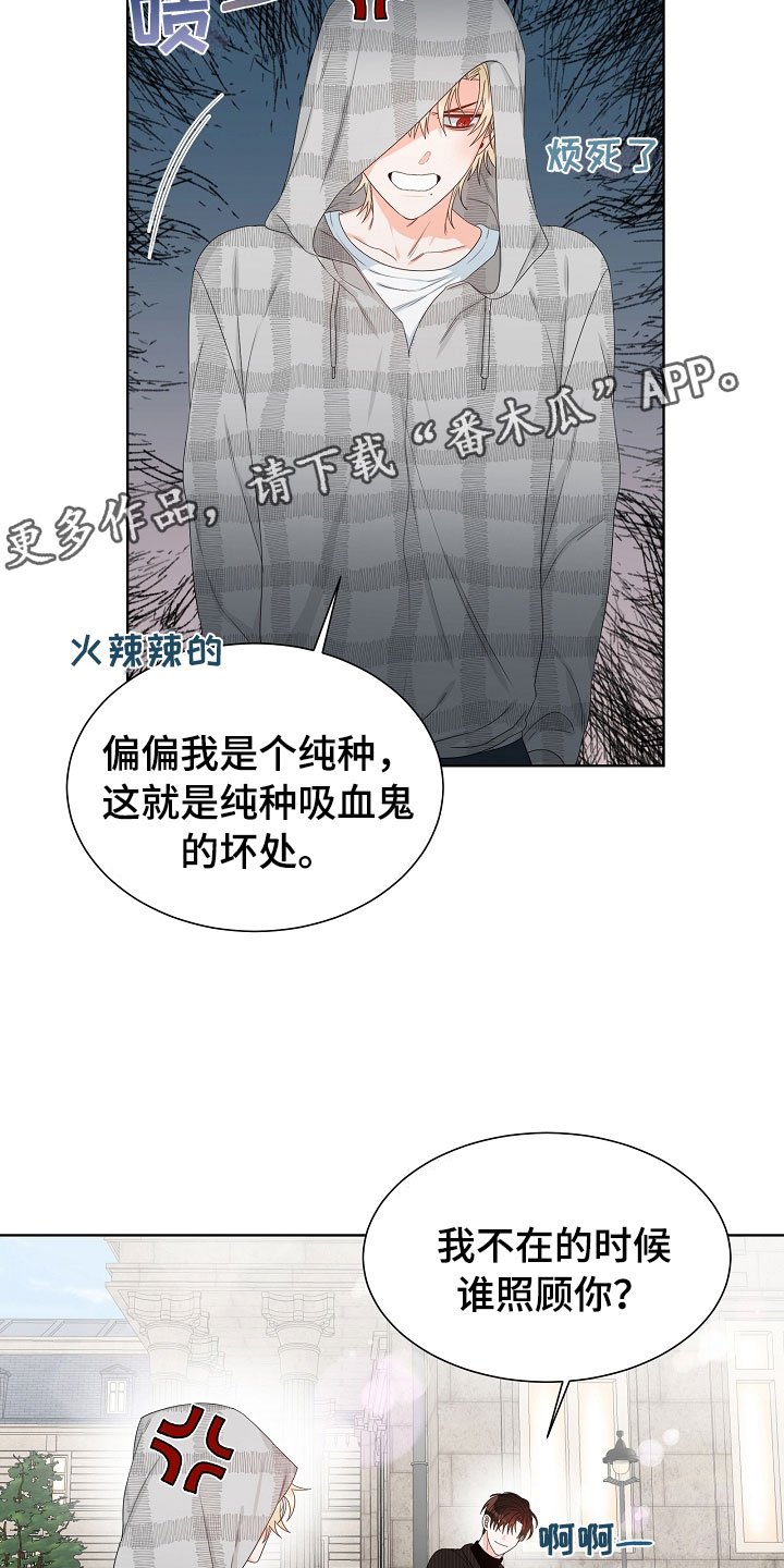 第4章：拌嘴