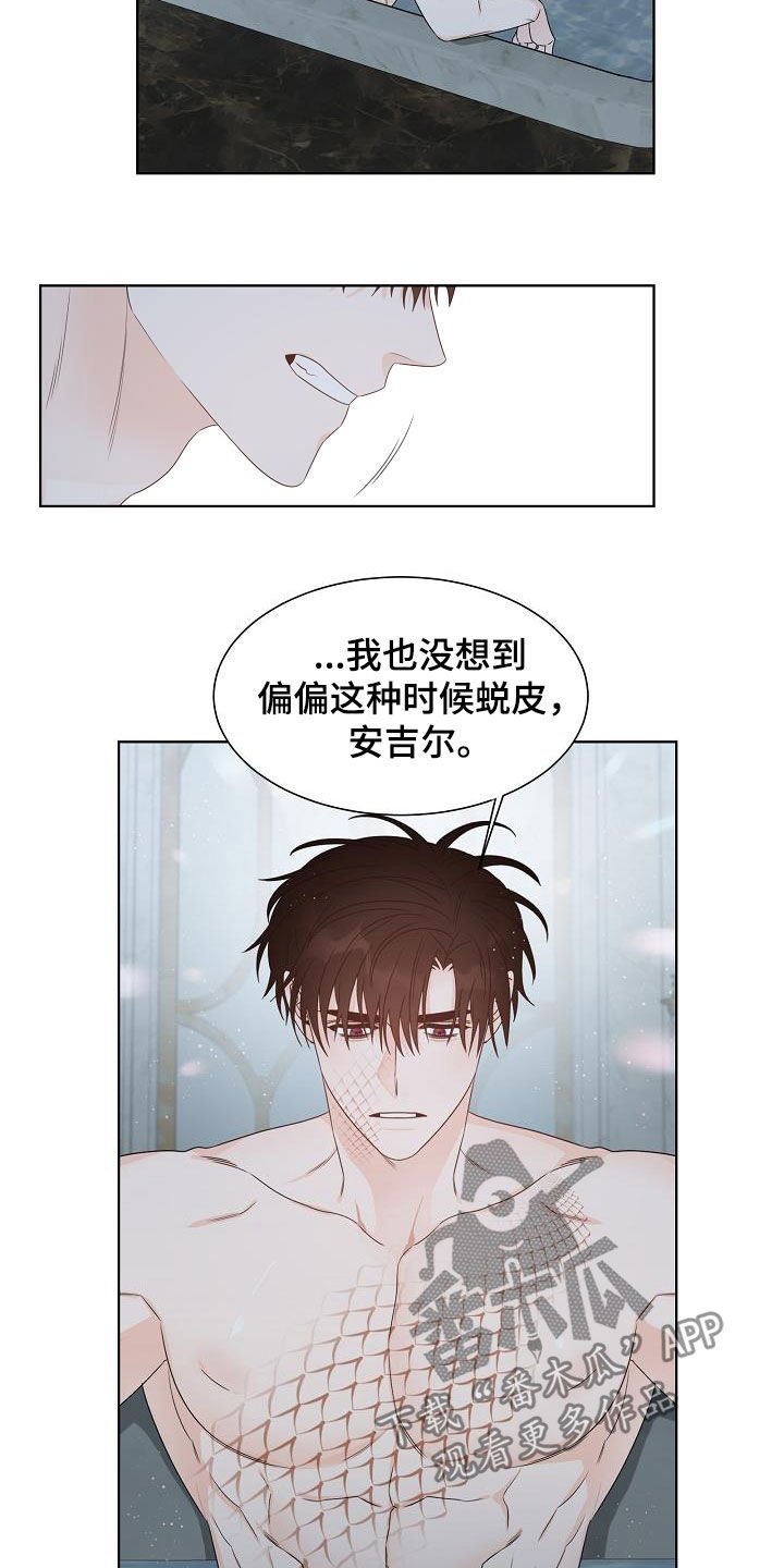 第41章：谁来救救我