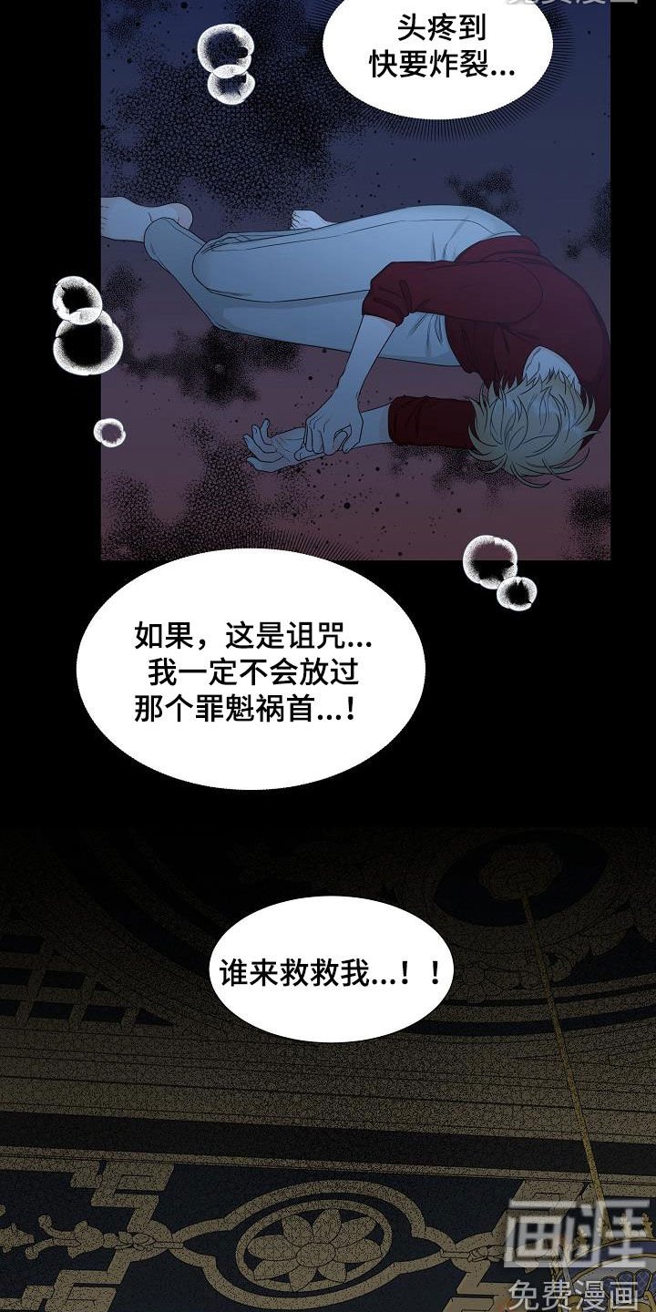 第42章：分化成功