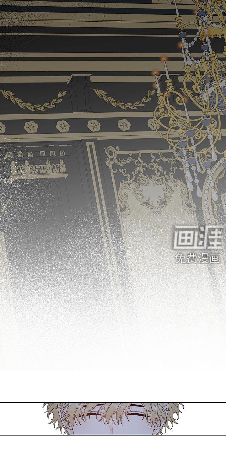 第42章：分化成功