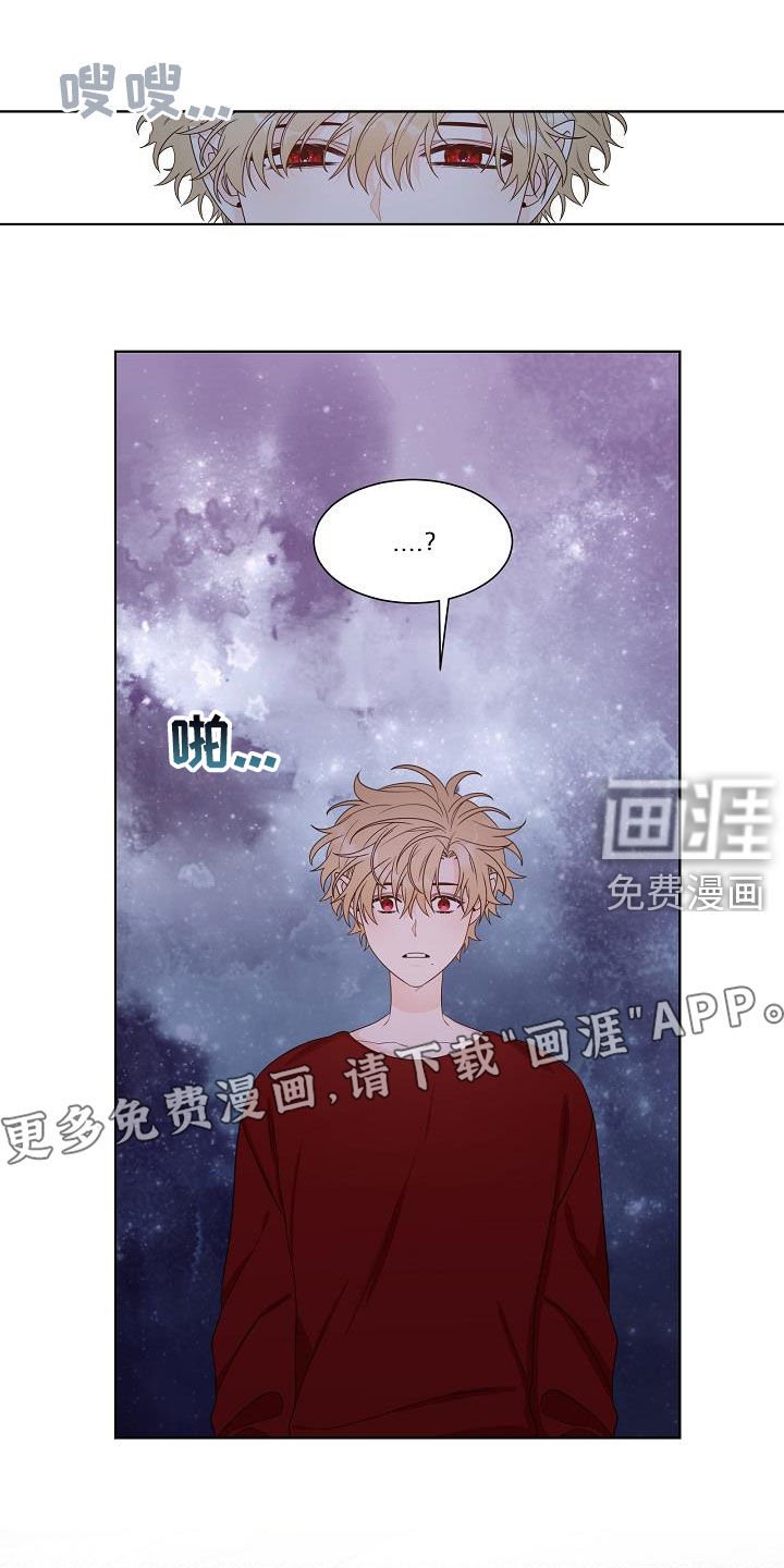 第42章：分化成功
