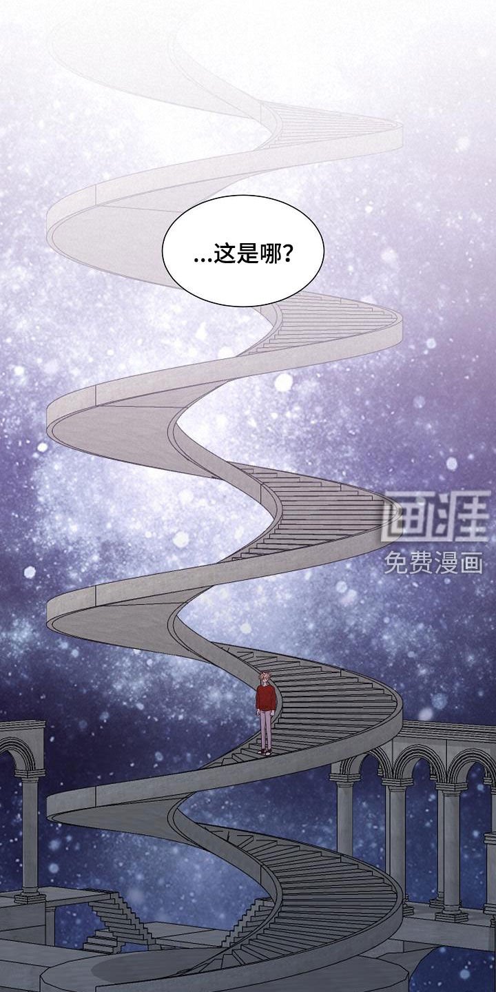 第42章：分化成功