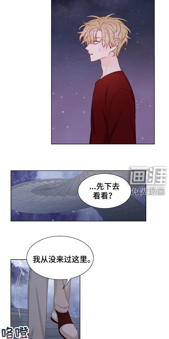 第42章：分化成功