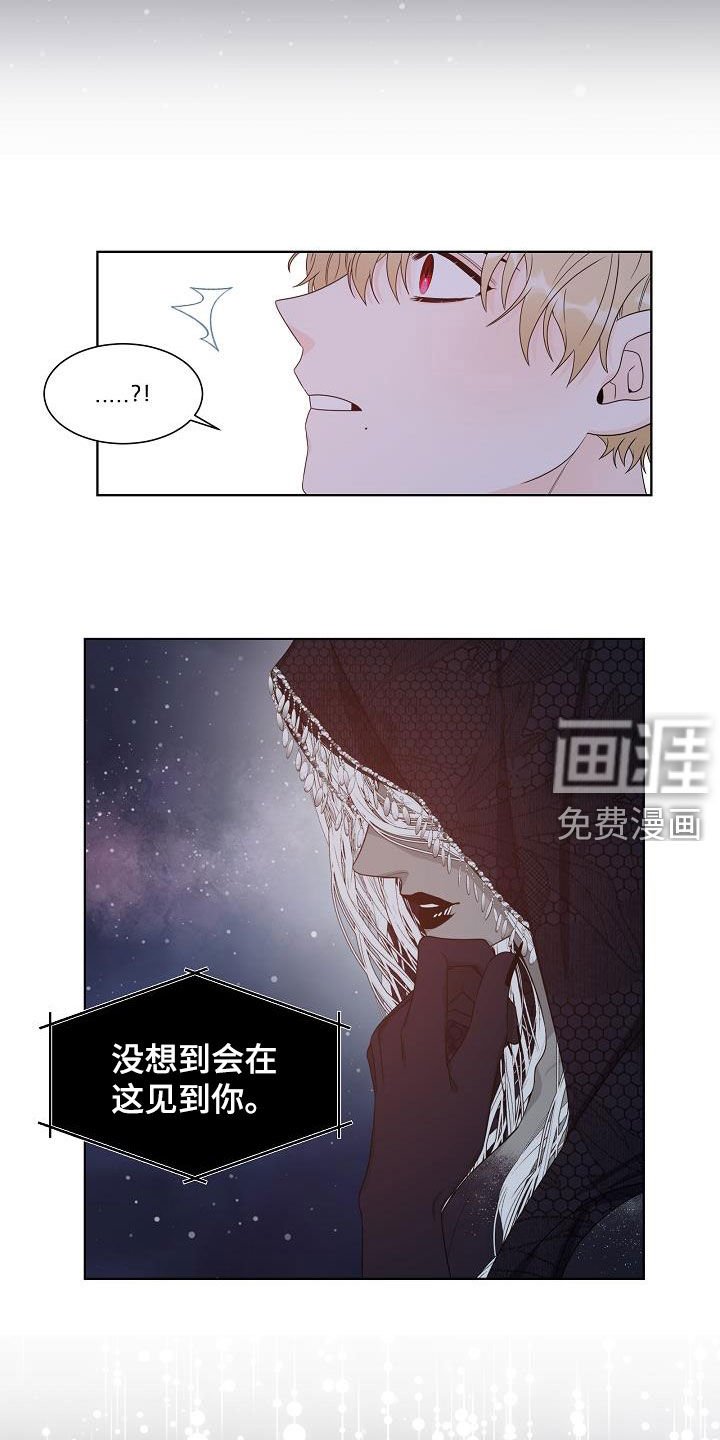 第42章：分化成功