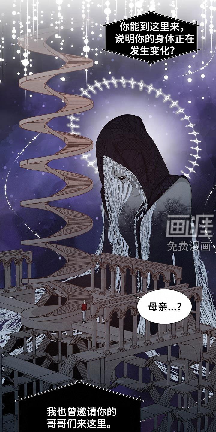 第42章：分化成功