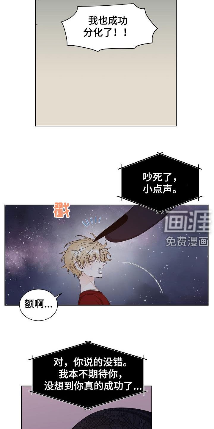 第42章：分化成功