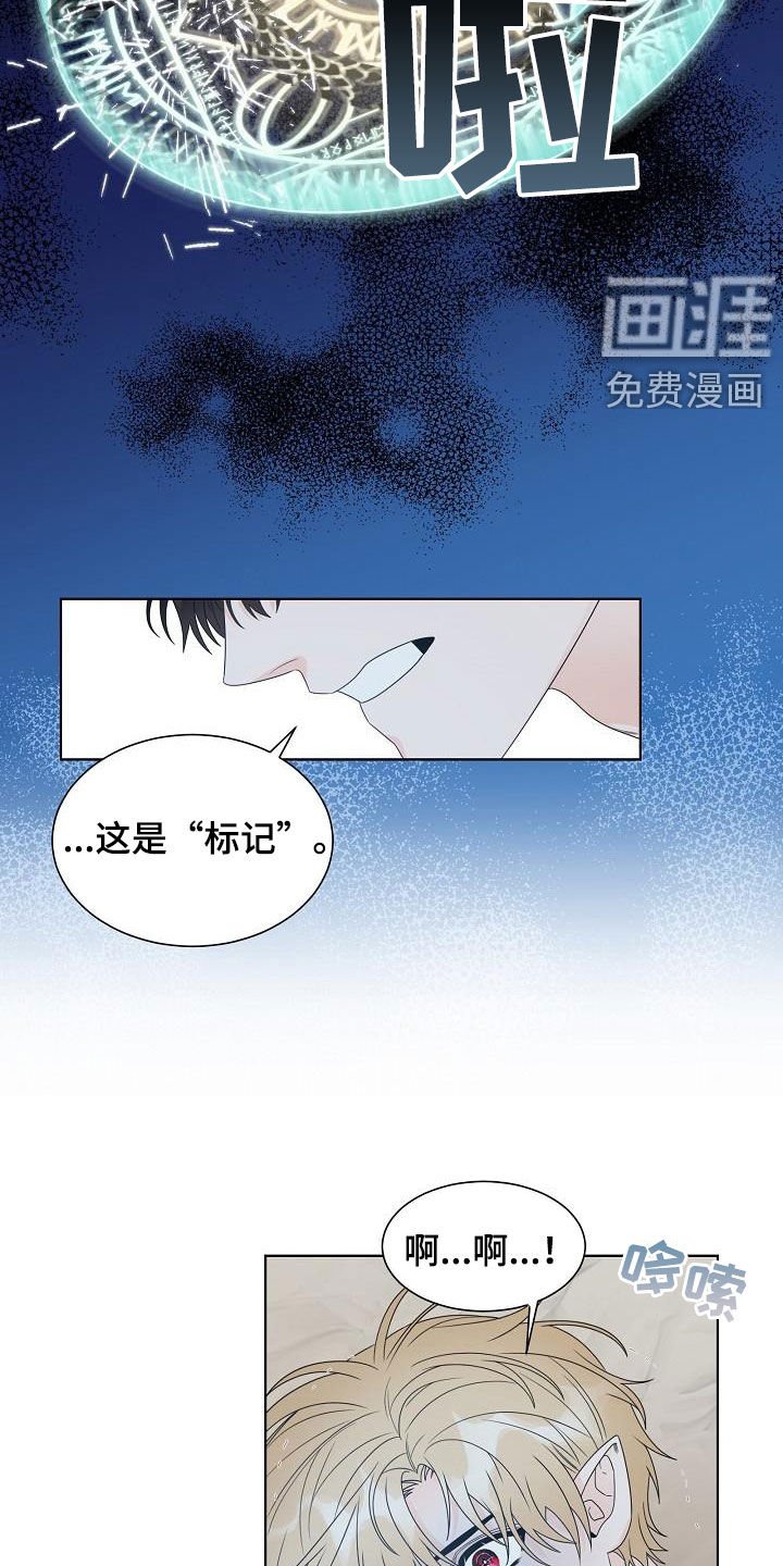 第45章：你毁了我！