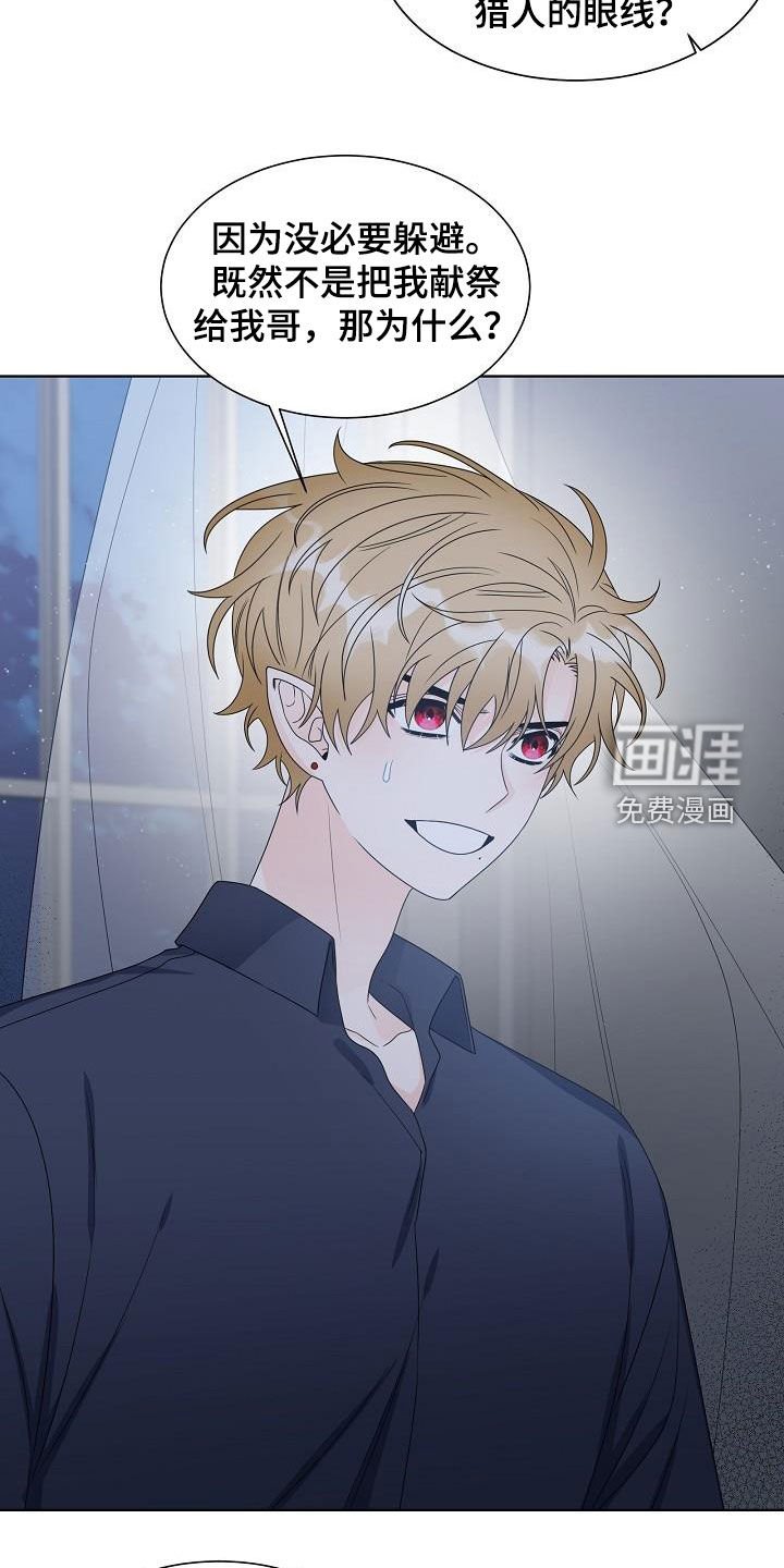 第48章：弟弟