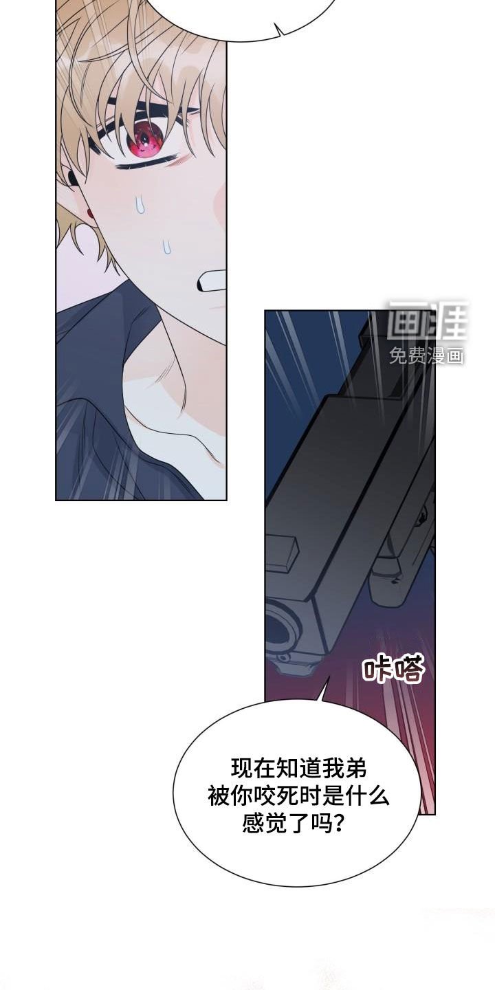 第50章：挡枪