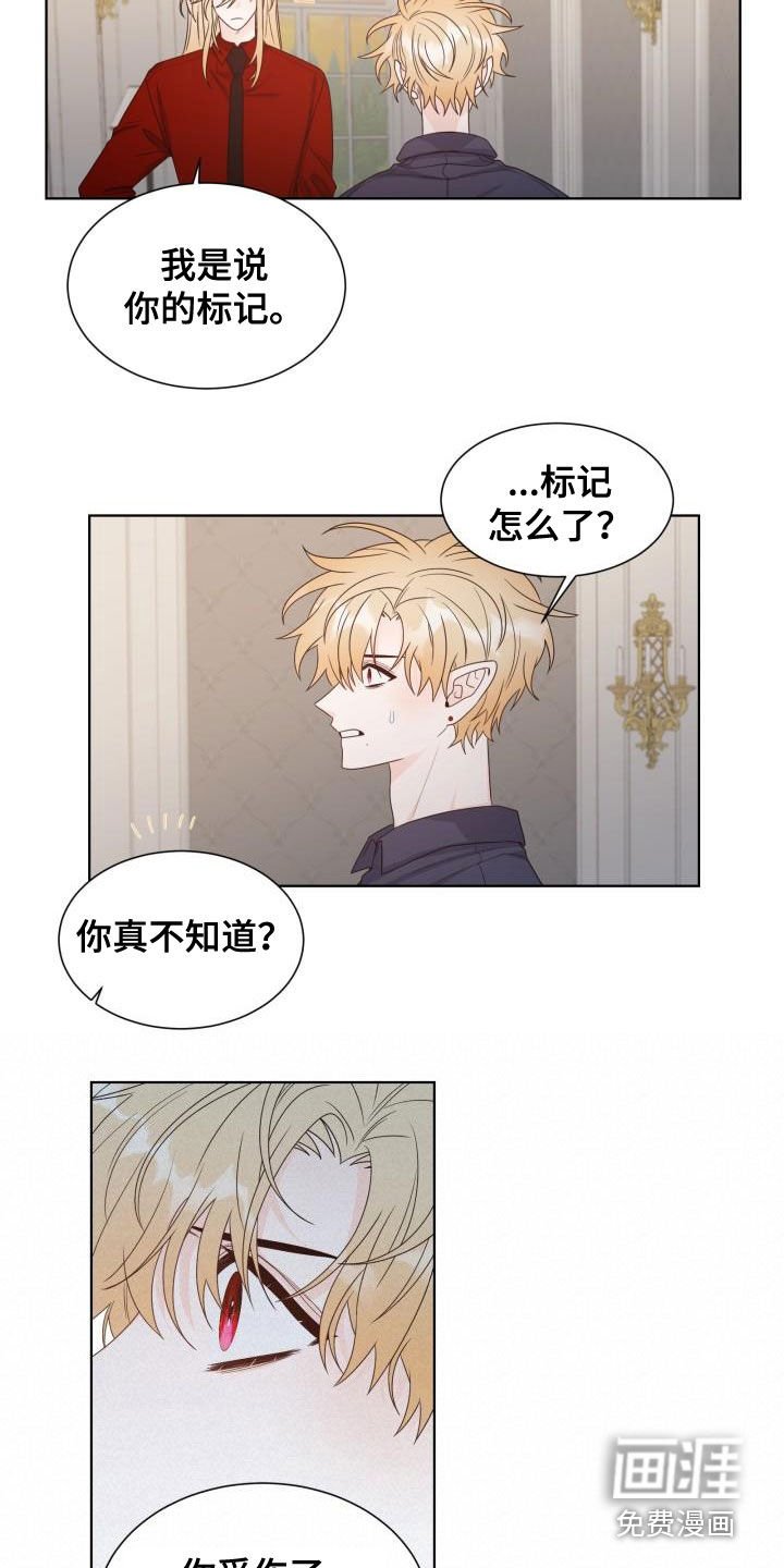 第53章：断开标记