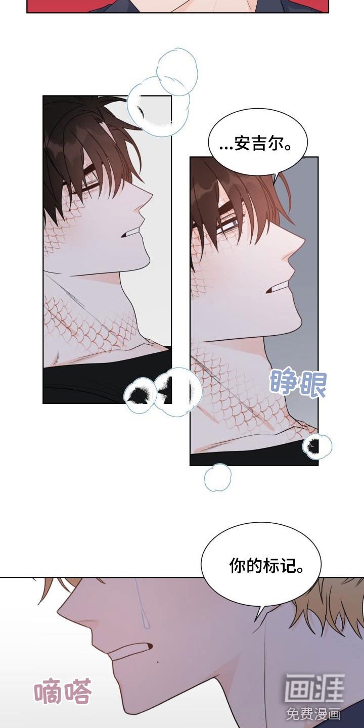 第53章：断开标记
