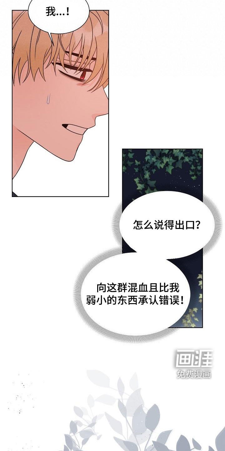 第55章：认错