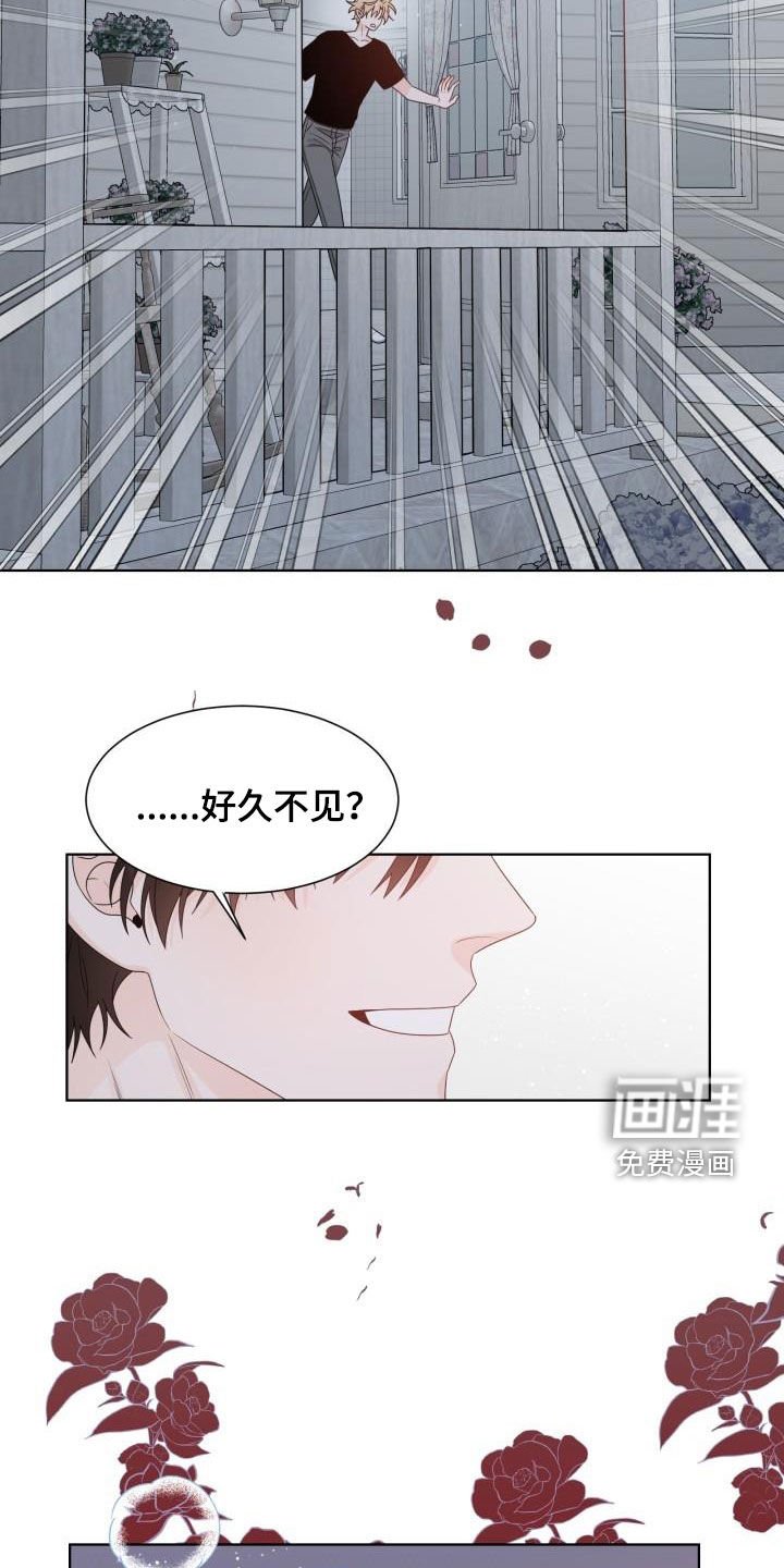 第61章：让我吻你（完结）