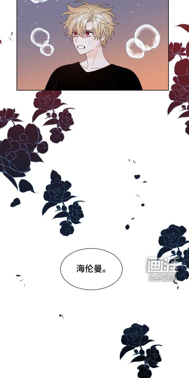 第61章：让我吻你（完结）