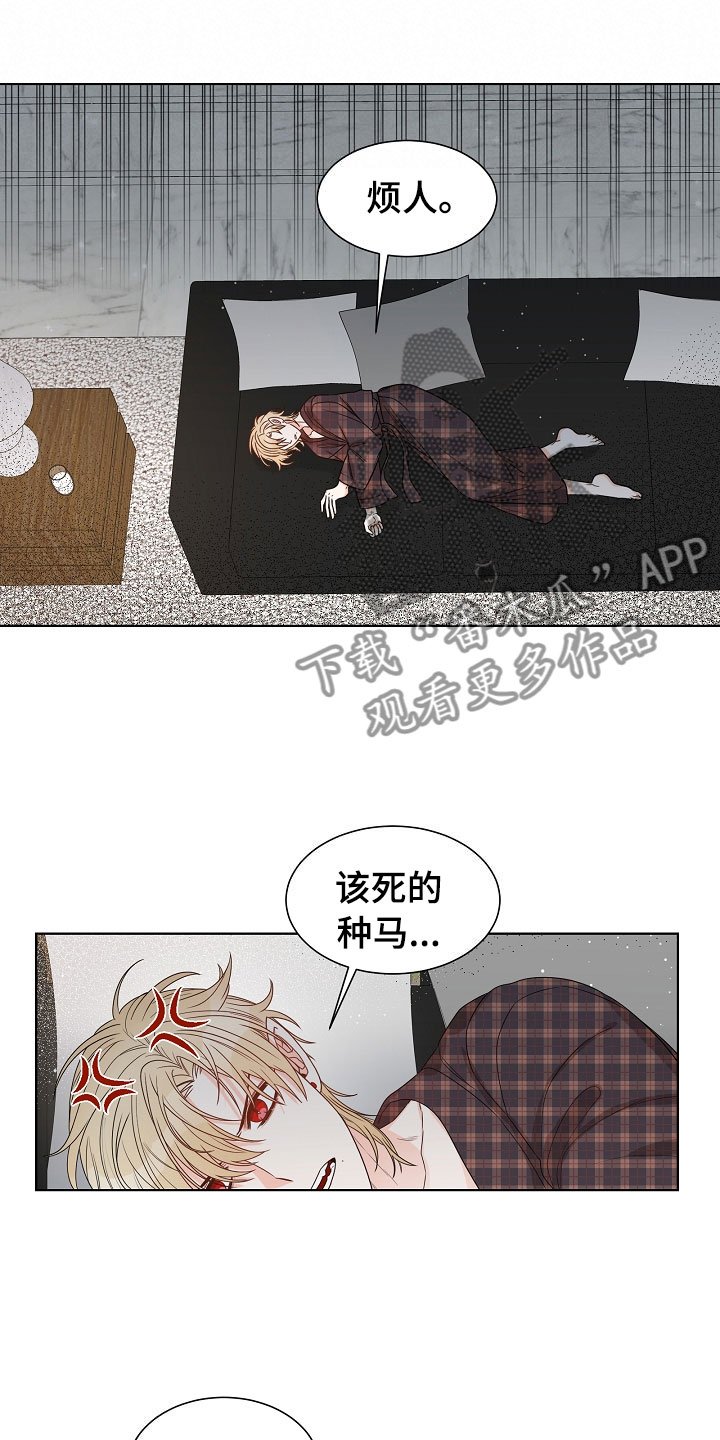 第9章：电影