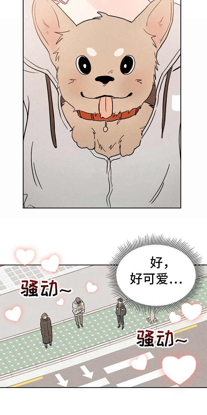 第1章：晕血