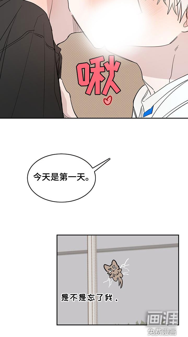 第101章：【第二季】恋爱