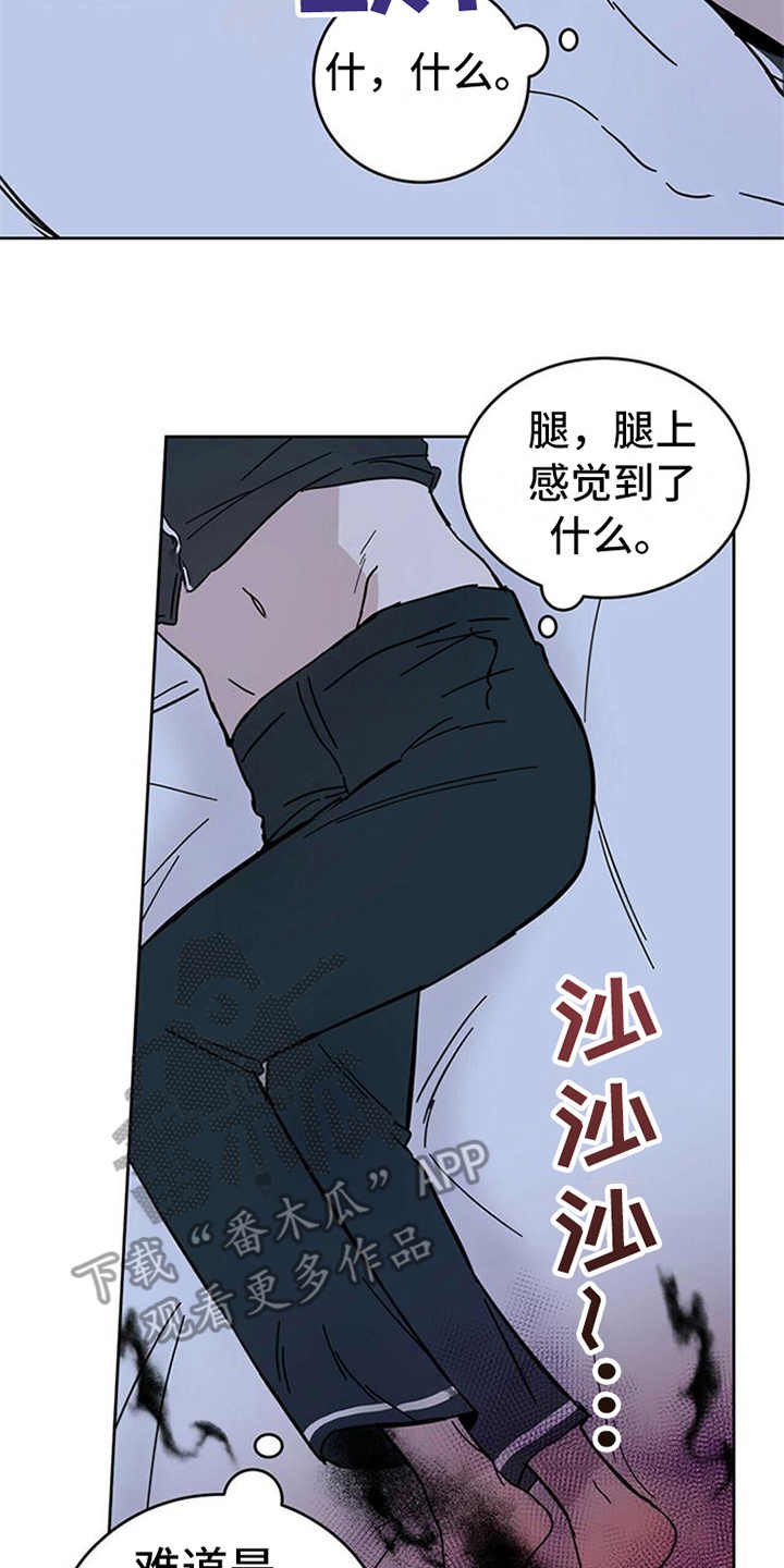 第12章：容器