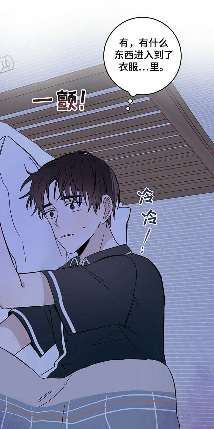 第13章：寄生虫