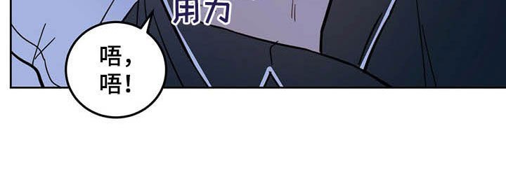 第13章：寄生虫