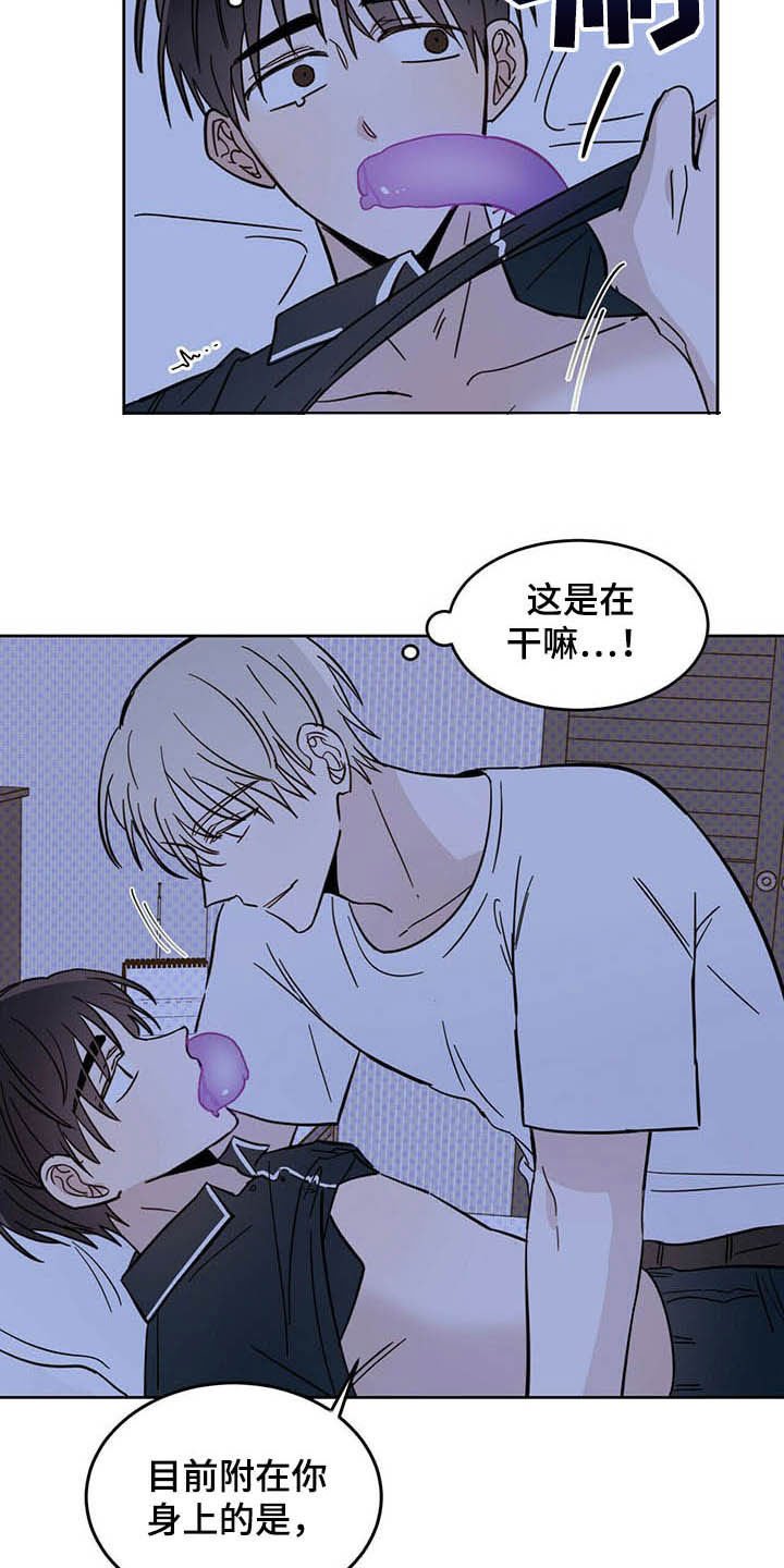第13章：寄生虫