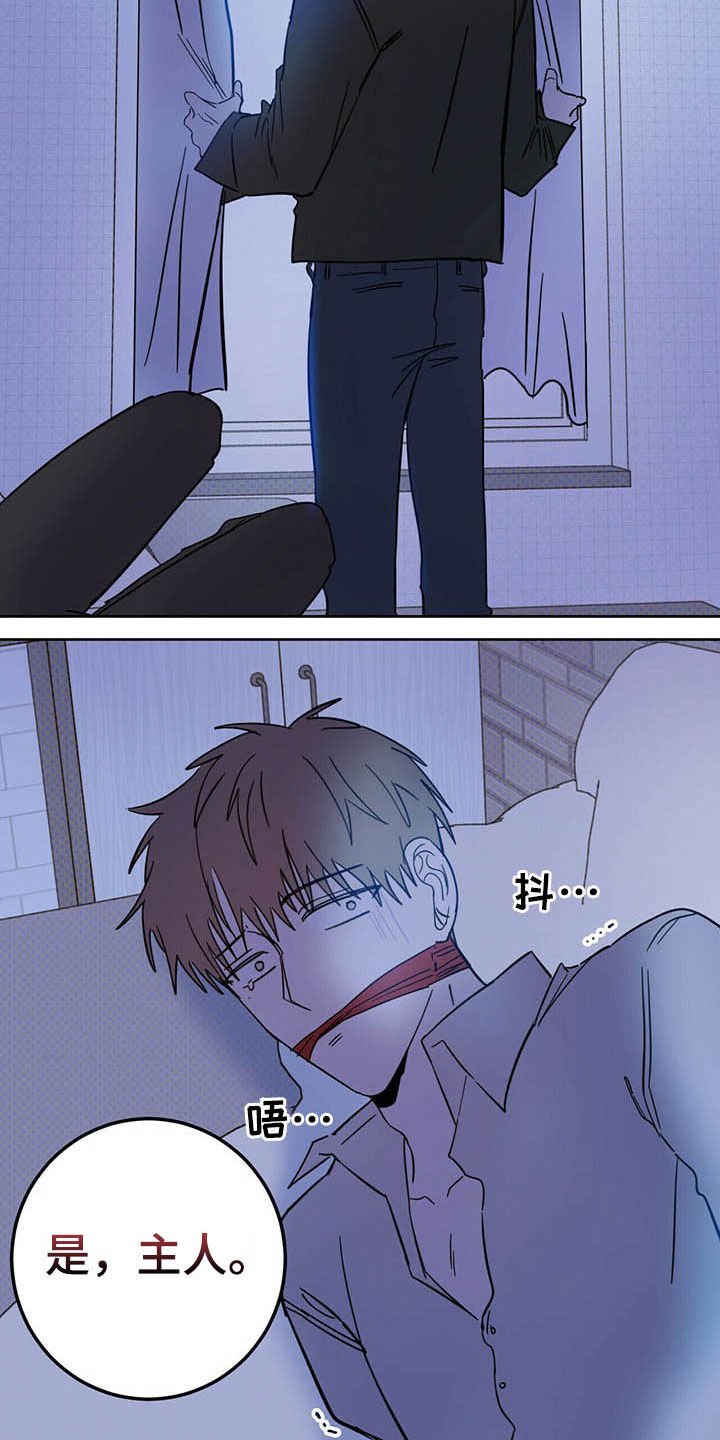 第13章：寄生虫